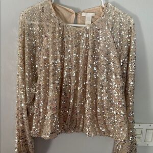 Sequin Blouse from H&M